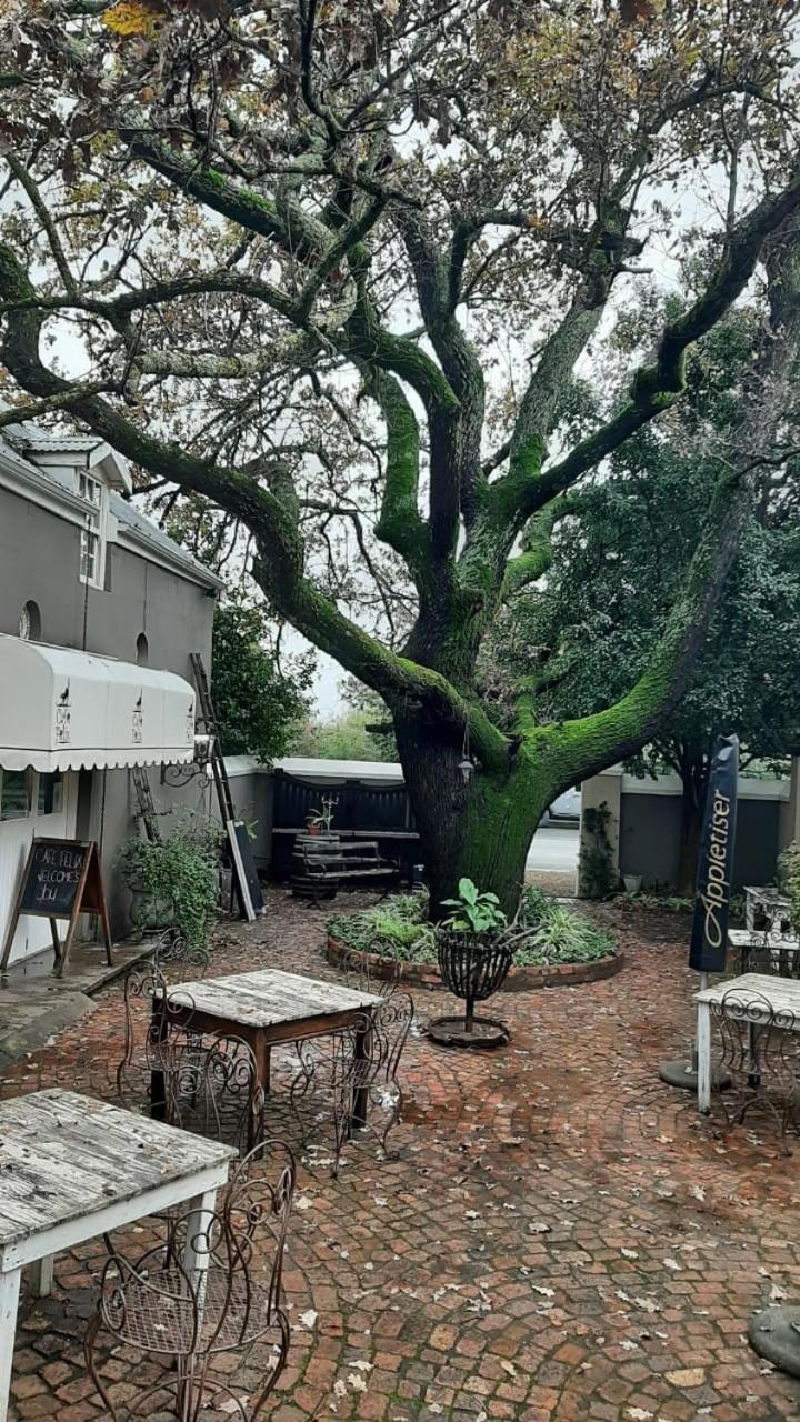 Cafe Felix & Old Oak Manor Hotel Riebeek-Kasteel Exterior photo